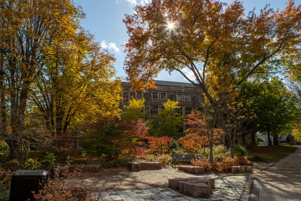 Photo of multi-coloured trees at the McMaster Oasis Garden in the fall.