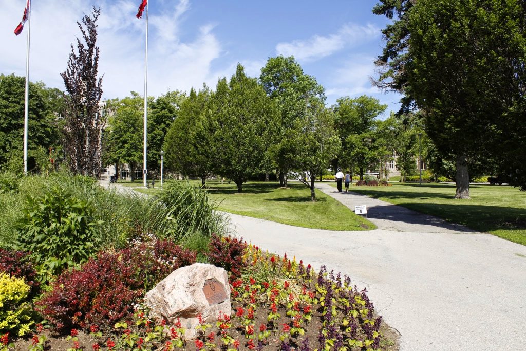 Photo of BSB field during the springtime with landscaping visible in the foreground.